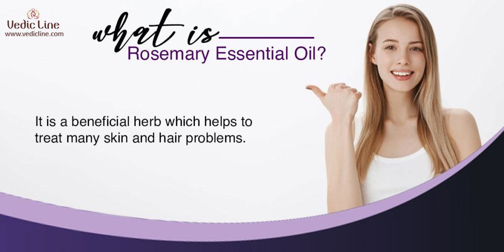 What is rosemary oil?